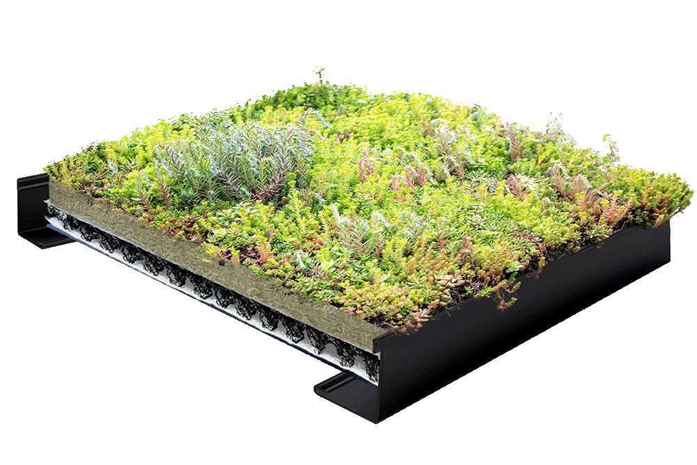 Biobased Dakrandprofiel